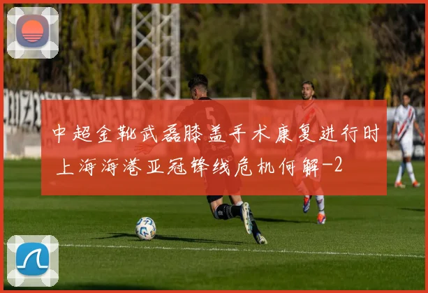 中超金靴武磊膝盖手术康复进行时 上海海港亚冠锋线危机何解