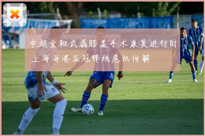 中超金靴武磊膝盖手术康复进行时 上海海港亚冠锋线危机何解
