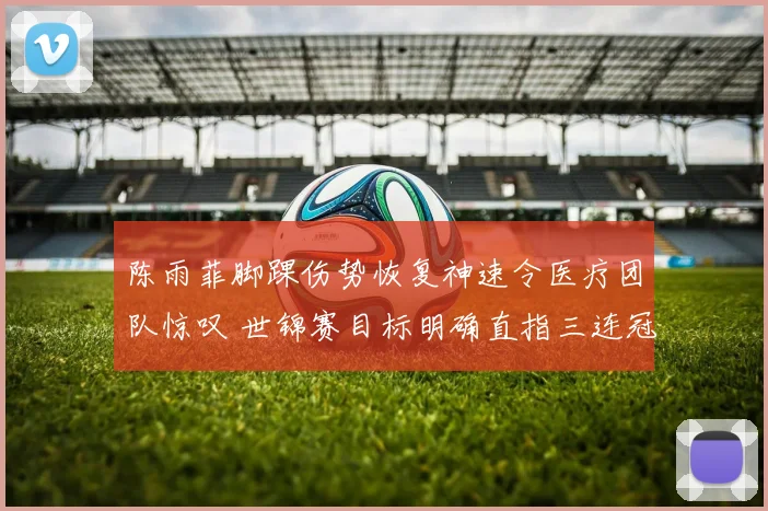 陈雨菲脚踝伤势恢复神速令医疗团队惊叹 世锦赛目标明确直指三连冠